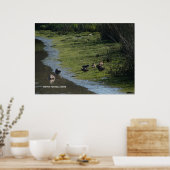 Entenhang Poster (Küche)