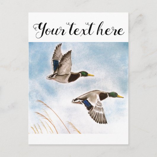 Entenjäger Postkarte (Vorderseite)