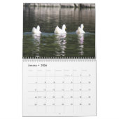 Entenkalender 2016 kalender (Jan 2026)