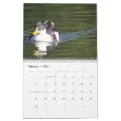 Entenkalender 2016 kalender (Feb 2027)