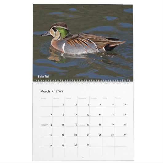 Entenkalender Kalender (Mär 2027)