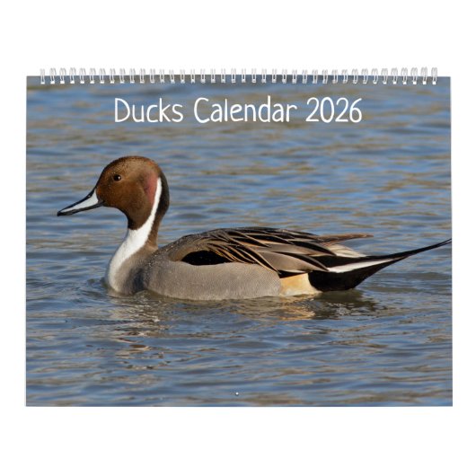 Entenkalender Kalender (Titelbild)