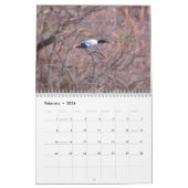 Entenkalender Kalender (Feb 2026)