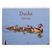Entenkalender Kalender (Titelbild)