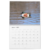 Entenkalender Kalender (Mär 2027)