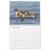 Entenkalender Kalender (Jan 2027)