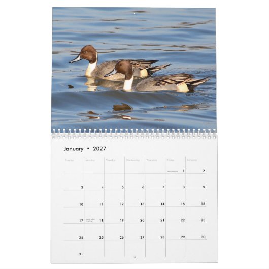 Entenkalender Kalender (Jan 2027)