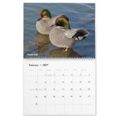 Entenkalender Kalender (Feb 2027)