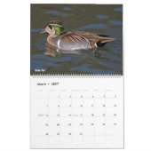 Entenkalender Kalender (Mär 2027)