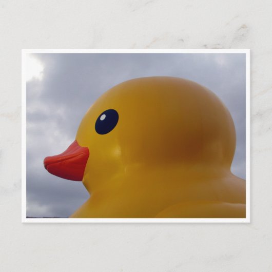 Entenkopf Postkarte (Vorderseite)