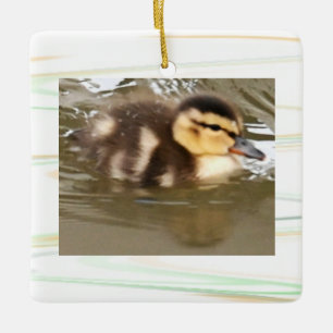 Entenküken-Foto-Ornament Keramikornament