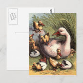 Entenküken frisch geschlüpft Vintage Bild Postkarte (Vorne/Hinten)