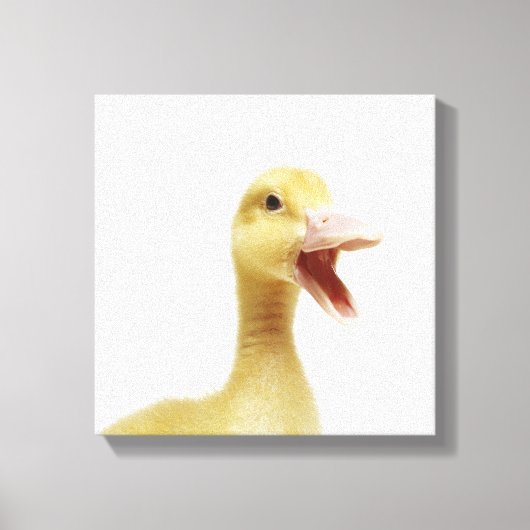 Entenküken Leinwanddruck (Vorderseite)
