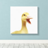 Entenküken Leinwanddruck (Insitu (Holzboden))