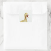 Entenküken Quadratischer Aufkleber (Tasche)