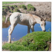 Entenleder Fliese (Vorderseite)