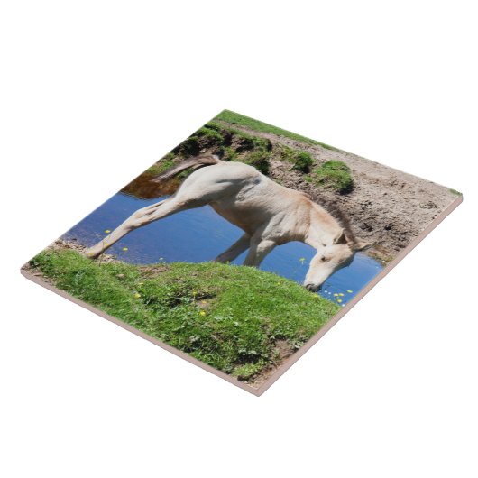 Entenleder Fliese (Seite)