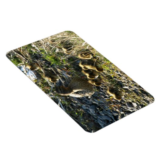 Entenlein Magnet (Rechte Seite)