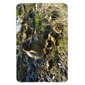 Entenlein Magnet (Vertikal)