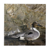 Entenliebhaber Fliese (Vorderseite)