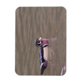 Entenmagnet Magnet (Vertikal)