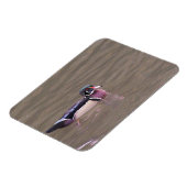 Entenmagnet Magnet (Linke Seite)