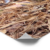 Entenposter Poster (Ecke)