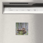 Entenputzen im Schilf Magnet (In Situ (Geschirrspüler))