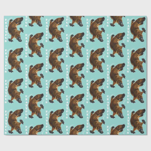 Entenschildkröte Geschenkpapier (Flach)