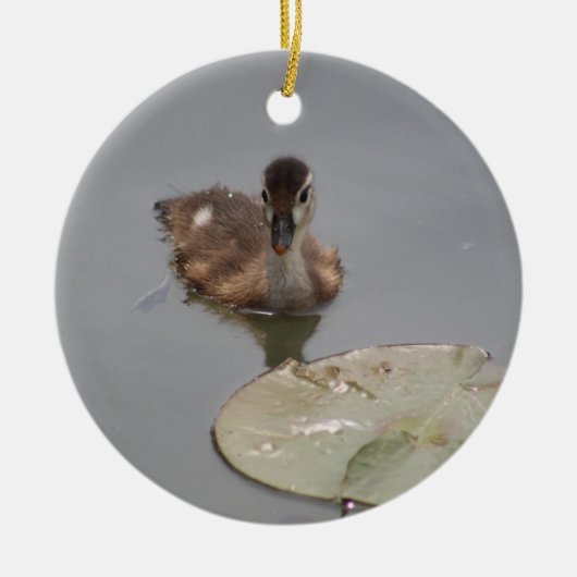 Entenschmuck Keramik Ornament (Vorne)