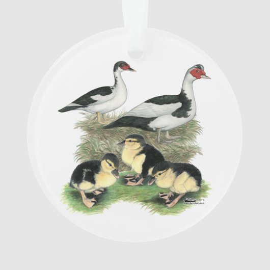 Entenschwarze gescheckte Muscovy-Familie Ornament (Rückseite)