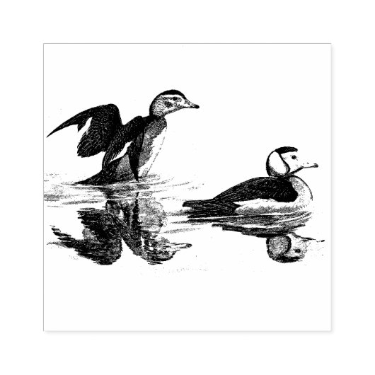 Entenvögel Wildlife Animal Wood Briefmarke Gummistempel (Prägung)