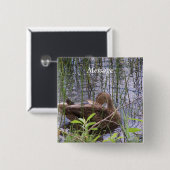 Entenvorgeburt in den Schildkröten Button (Vorne & Hinten)