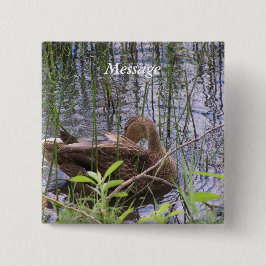 Entenvorgeburt in den Schildkröten Button