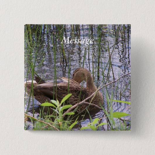 Entenvorgeburt in den Schildkröten Button (Vorderseite)