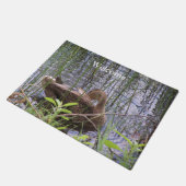 Entenvorgeburt in den Schildkröten Fußmatte (Schrägansicht)