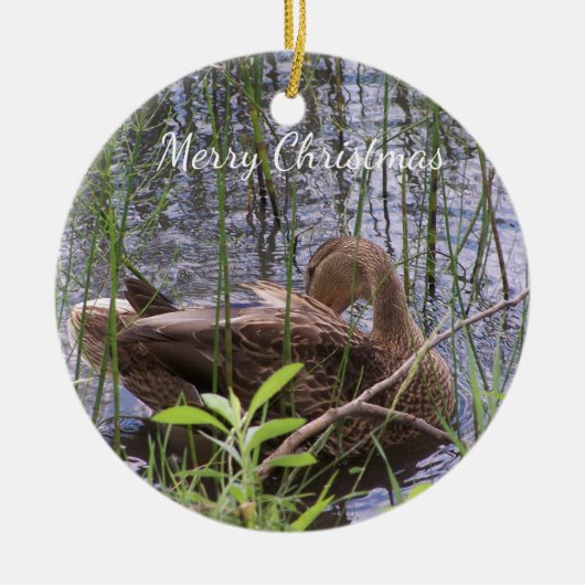 Entenvorgeburt in den Schildkröten Keramik Ornament (Vorne)