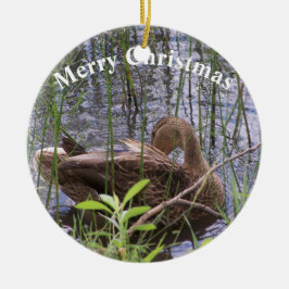 Entenvorgeburt in den Schildkröten Keramikornament