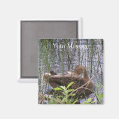 Entenvorgeburt in den Schildkröten Magnet (Vorderseite/Rückseite)