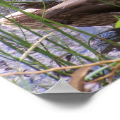 Entenvorgeburt in den Schildkröten Poster (Ecke)