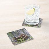 Entenvorgeburt in den Schildkröten Rechteckiger Pappuntersetzer (Vor Ort)