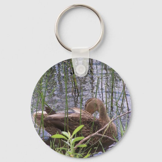 Entenvorgeburt in den Schildkröten Schlüsselanhänger (Vorderseite)
