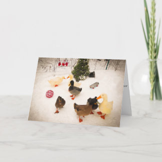 Entenweihnachtskarte Party Weihnachtskarte Feiertagskarte