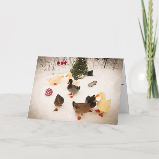 Entenweihnachtskarte Party Weihnachtskarte Feiertagskarte (Vorderseite)