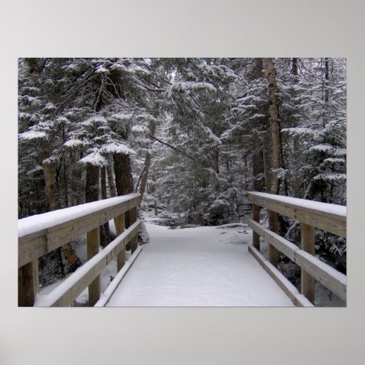 Enter - Neue Hampshire Snow Scene Poster (Vorne)