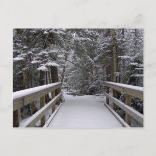 Enter - New Hampshire Snow Scene Postcard Postkarte