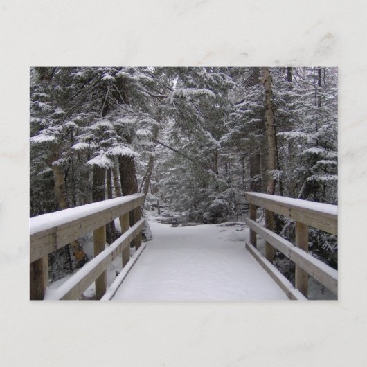 Enter - New Hampshire Snow Scene Postcard Postkarte (Vorderseite)