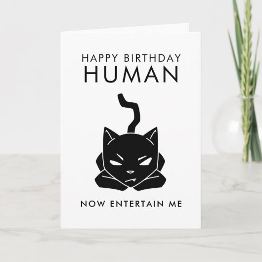 Entertain Me Funny Cat Geburtstag Karte (Vorderseite)