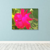 Entfalten Schönheit: Die Rote Rose und ihr Buckel Leinwanddruck (Insitu (Holzboden))