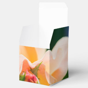 entfaltender Wunsch Gefallen Kiste Geschenkschachtel